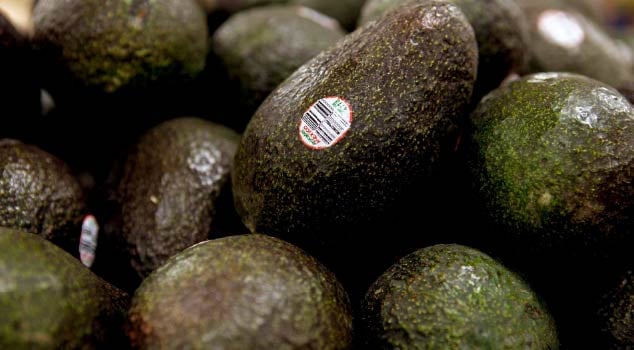 image2-size-fruits-vegetables-sp1